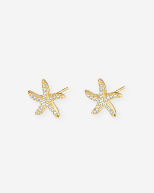 Starfish Stud