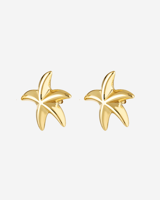 Star Statement Earring